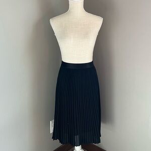Pleated Skirt